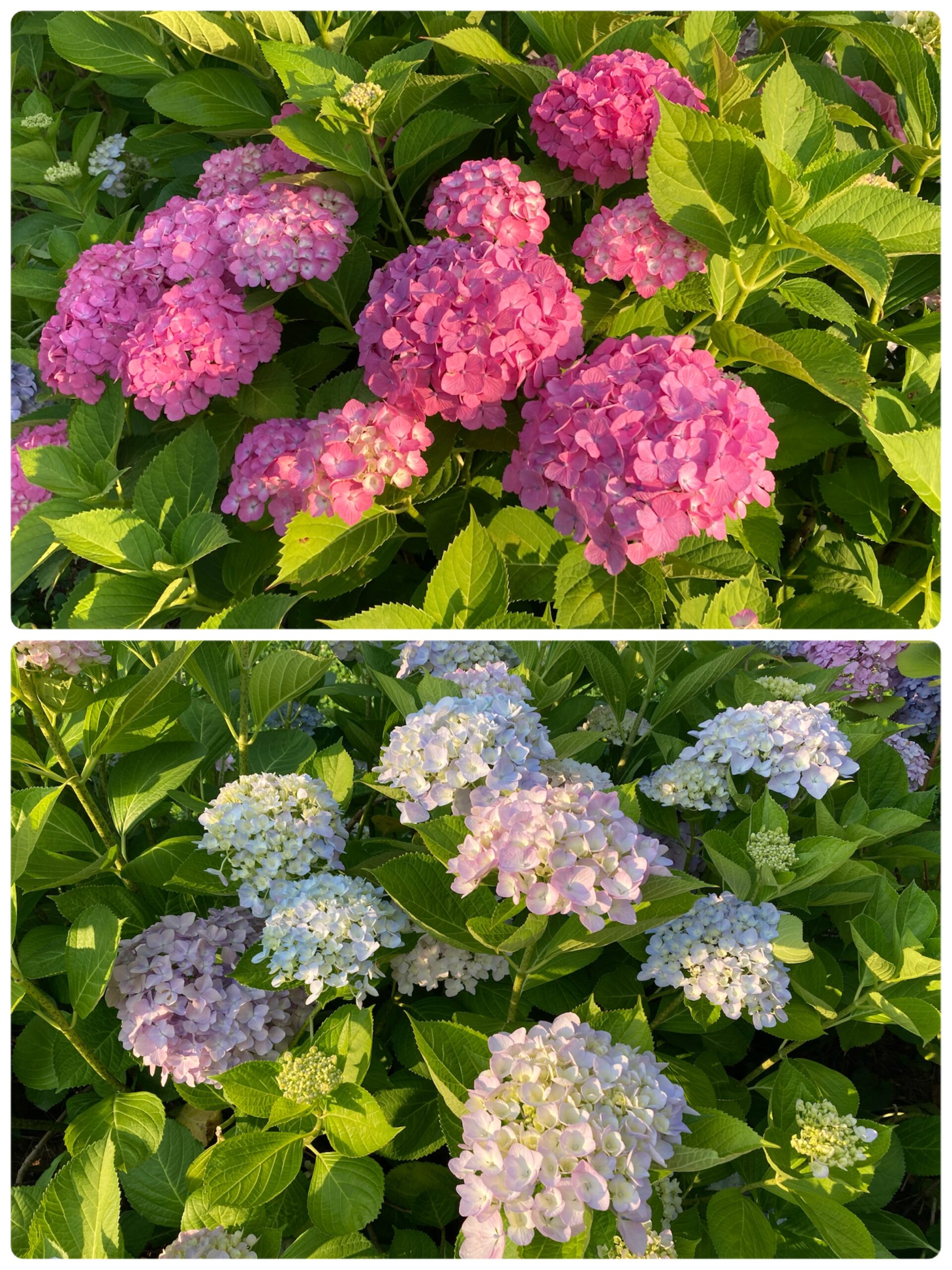 【北堀江】放デイ　児発管ブログ🏫