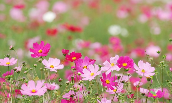 【北堀江】児発管ブログ