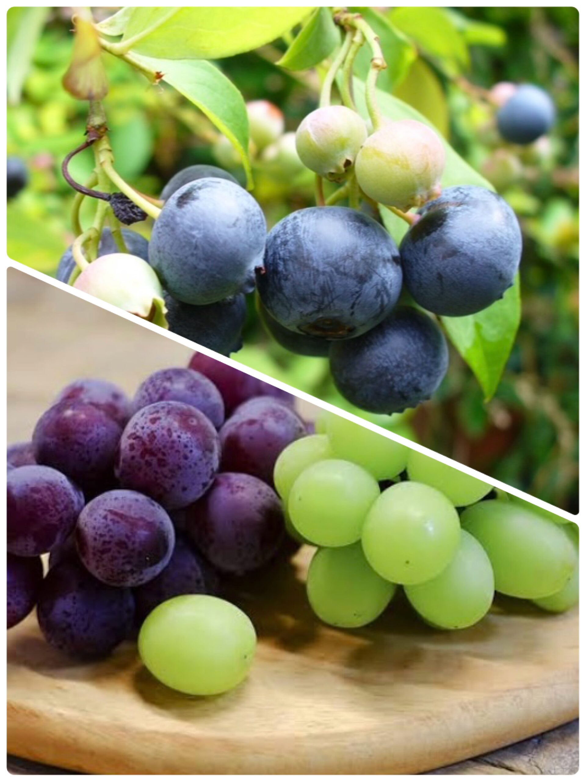 【北堀江】放デイ🏫　児発管ブログ