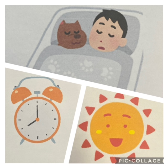 【ハッピープラス南堀江】児発管ブログ👩‍🏫