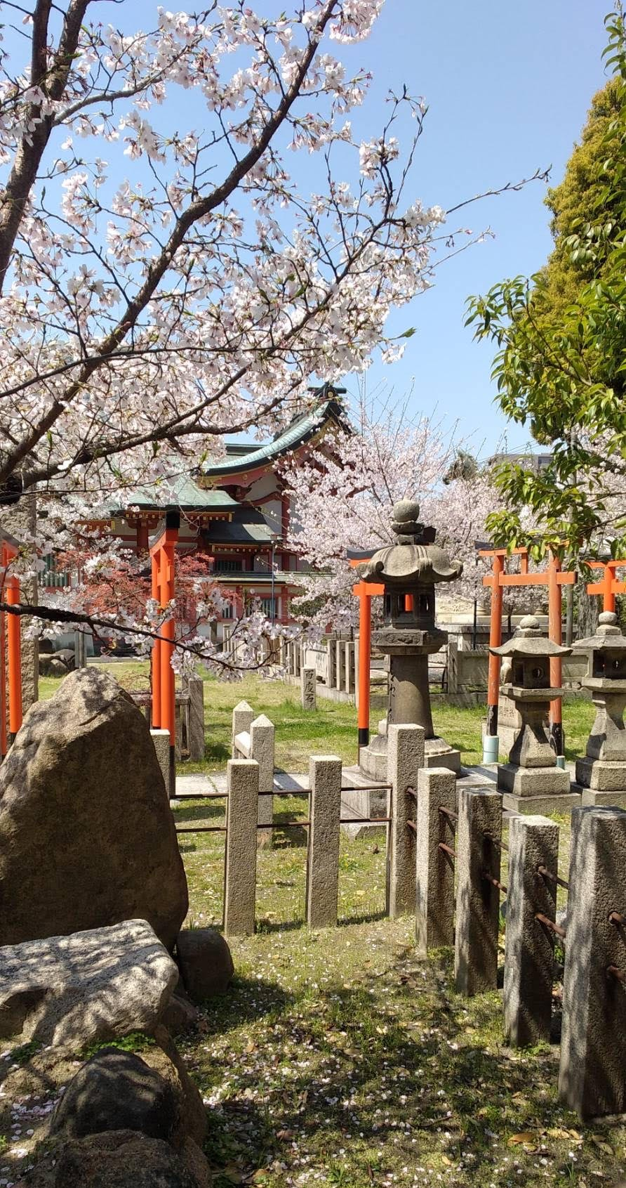 【北堀江児発】児発管ブログ