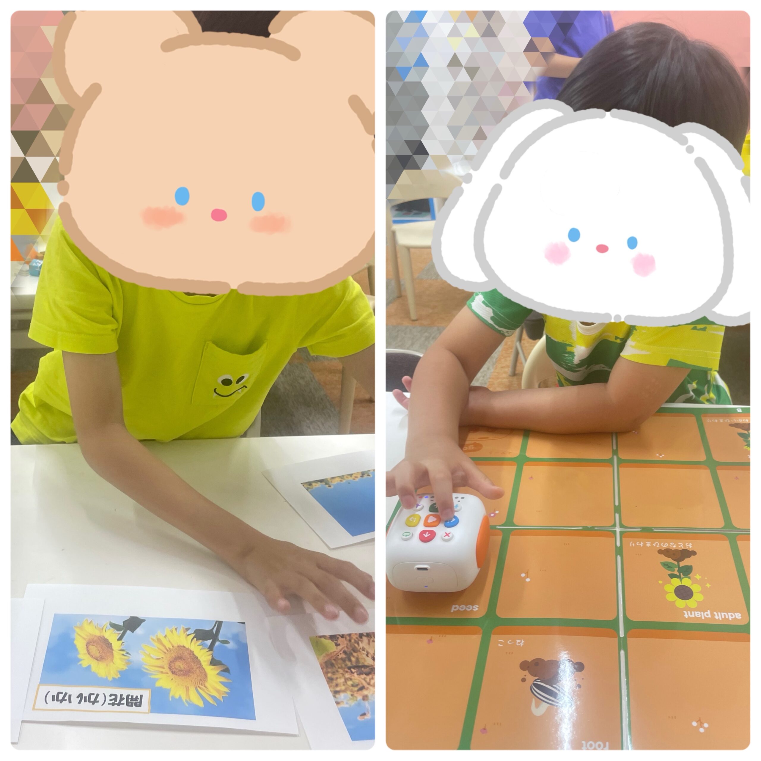 【南堀江】放デイ:プログラミング《ひまわりの成長🌻》